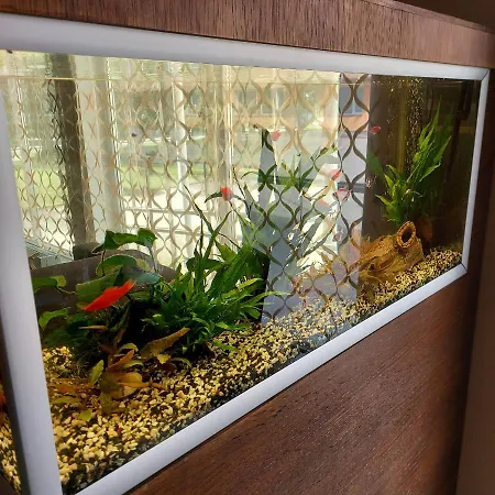 Citystop Majutuskeskus 2*