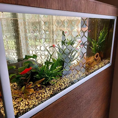 Citystop Majutuskeskus Hotel