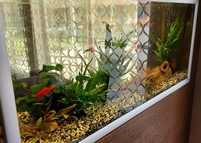 Citystop Majutuskeskus 2*